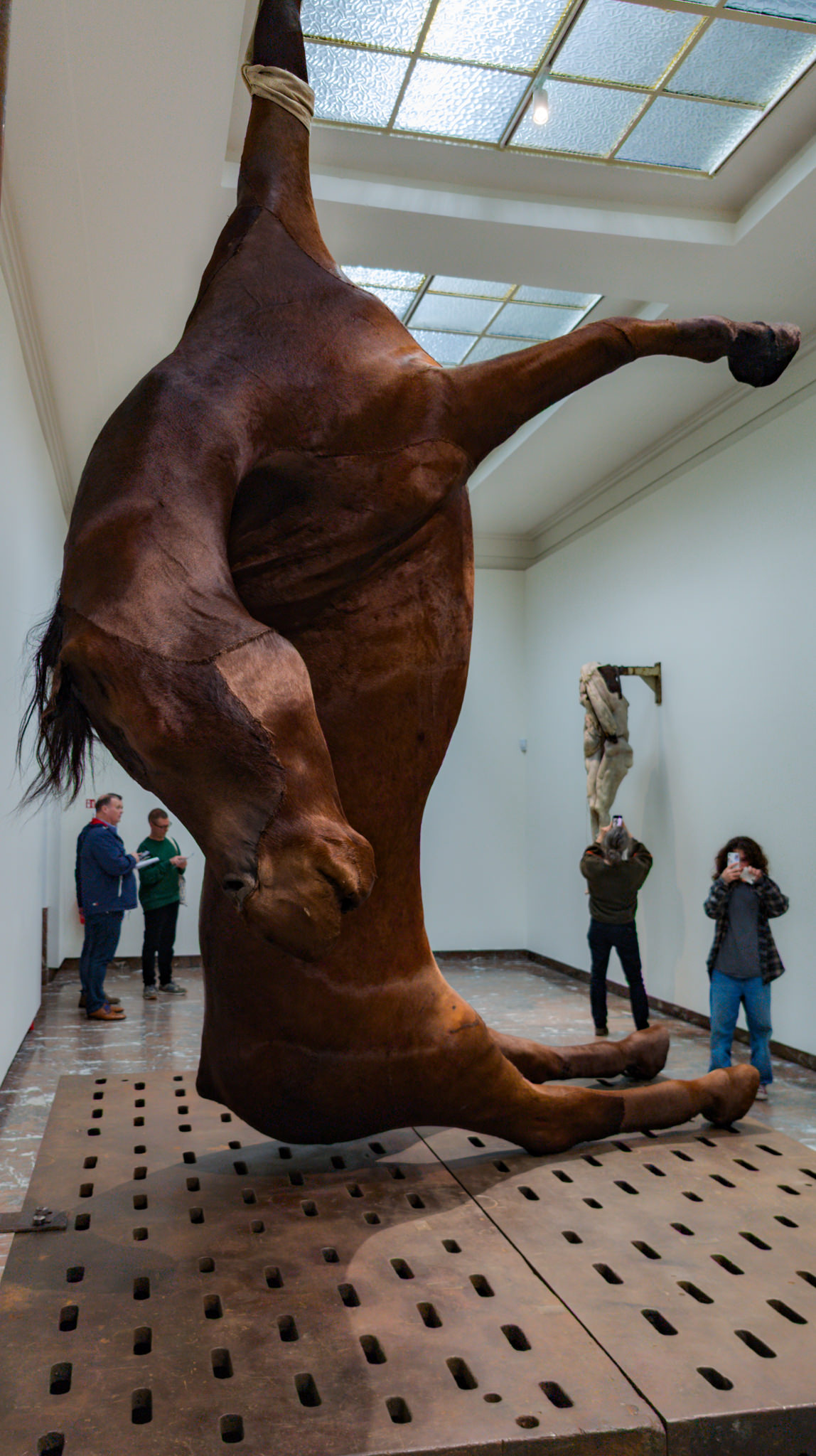 The image captures a powerful sculpture of a horse, suspended upright by a thick rope around its neck, creating a striking contrast of life and stillness. The horse's muscular form is meticulously detailed, showcasing its size and strength. Below, a patterned wooden platform anchors the piece, while visitors engage with the artwork, their varying expressions reflecting intrigue and contemplation. In the background, another sculpture adds to the exhibit’s depth, enhancing the sense of space and artistic dialogue within the gallery. The overhead skylight bathes the scene in natural light, accentuating the raw textures of the horse’s body and the emotional weight of the installation.